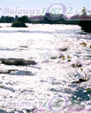 The Culmness Of The Zambezi River Before The Falls