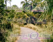 Pathway in the Garden Surrounding the vic falls